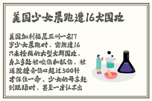 婚后试爱在线观看